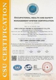 職（zhí）業健康安全管理（lǐ）體係證書（shū）（英文）